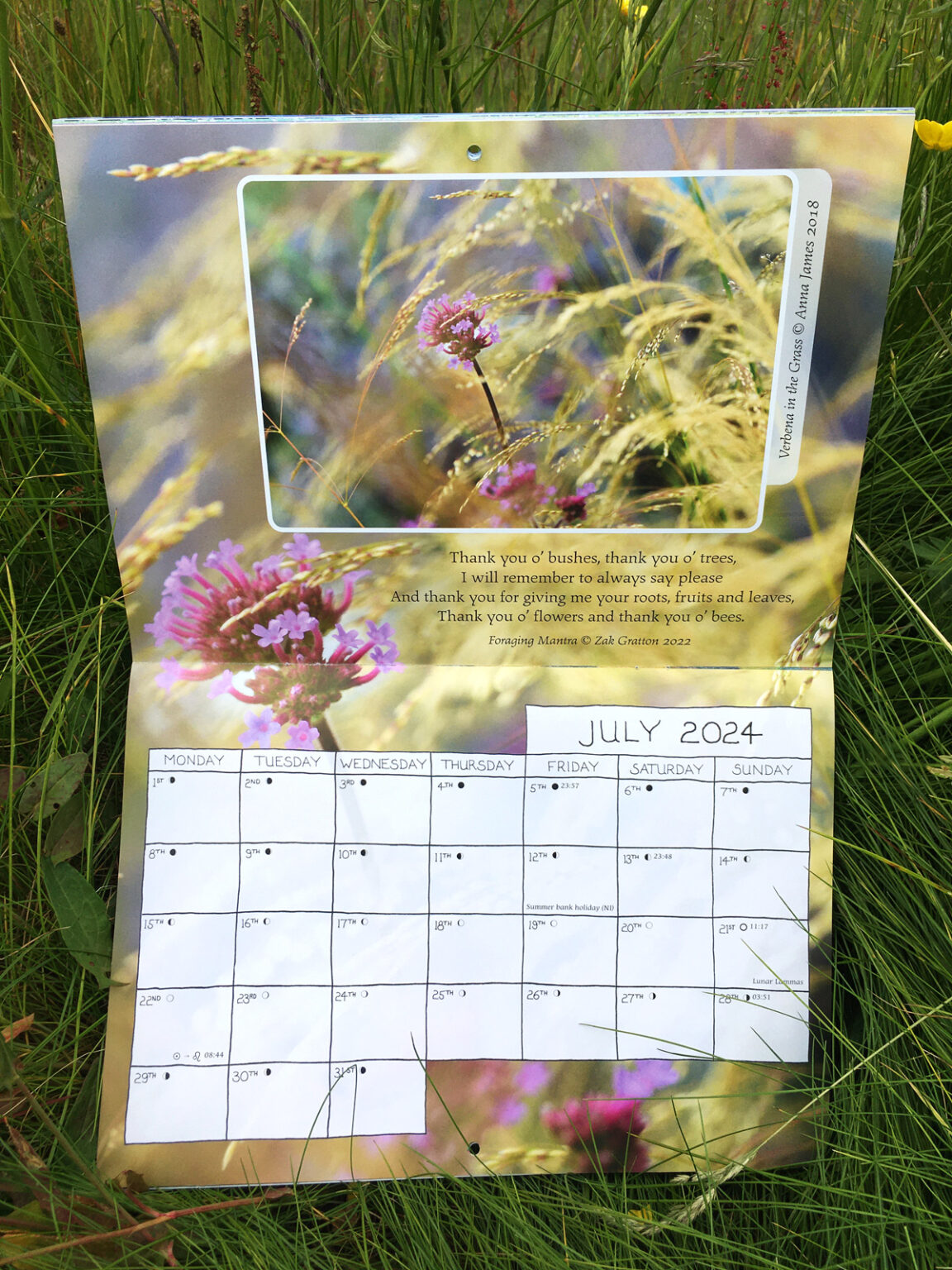 2024 Earth Pathways Wall Calendar Earth Pathways